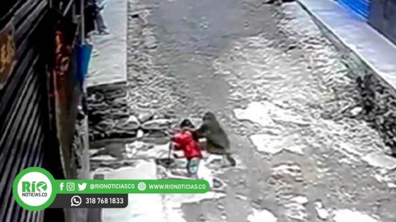 Photo of Video | Impactante, mono raptó a una niña