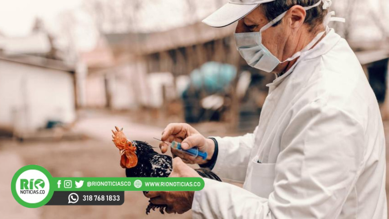 Primer caso de gripa Aviar en humanos en China