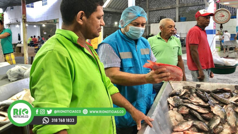 Photo of Alcaldía realizó inspección, vigilancia y control a ventas de pescado