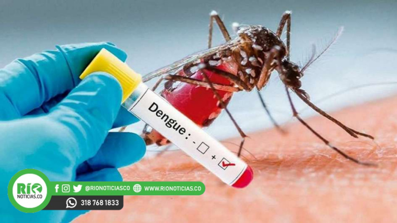 Photo of Preocupa el aumento de casos de dengue en Córdoba y otros departamentos de Colombia