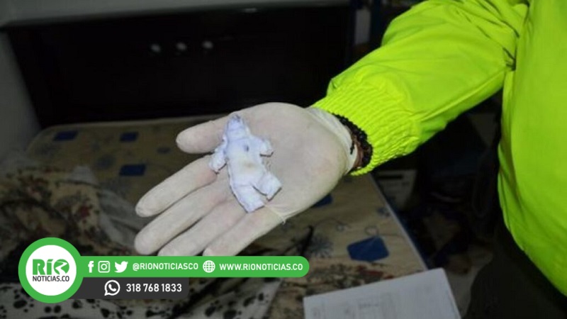 Video | Muñeco vudú, libros de brujería y otros hallazgos en casa de niño desaparecido; Maximiliano Tabares