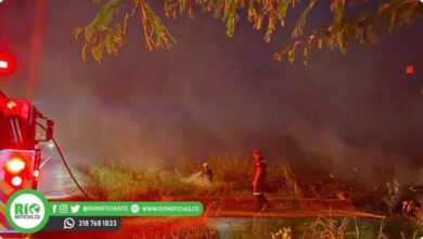 Photo of El 99% de los incendios forestales en Montería son provocados