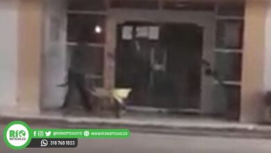 Photo of VIDEO | Hombre regó una carretilla llena de aguas residuales y desechos de alcantarilla en la Alcaldía de Momil