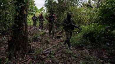 Photo of ELN declara paro armado en Chocó