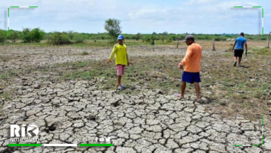 Photo of Gobernación hace llamado a alcaldías a reportar a productores afectados por el Fenómeno de El Niño