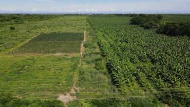 Photo of Colombia es uno de los países latinoamericanos que más desperdicia agua en la agricultura